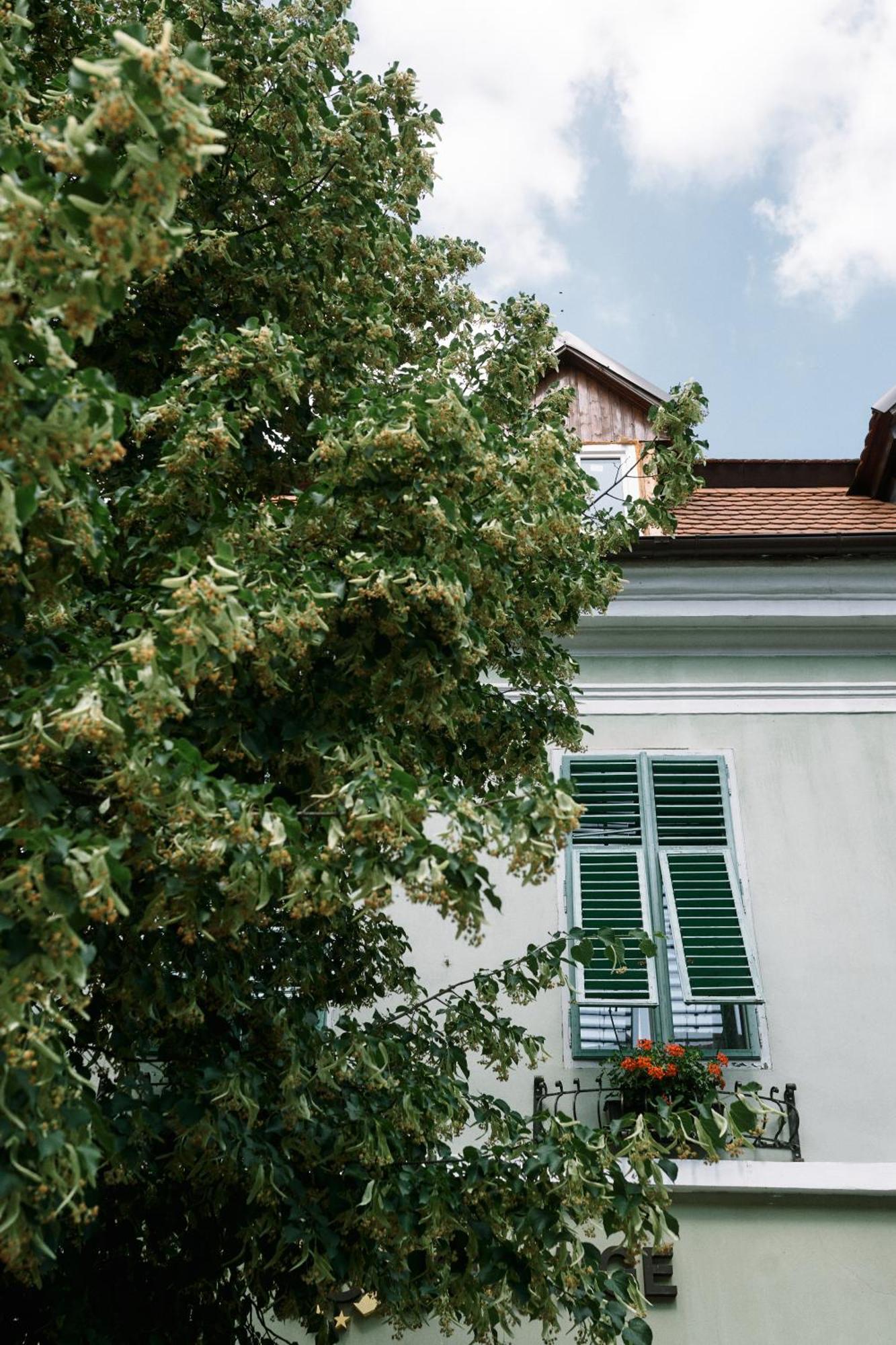 Apartamento Moldos Haus Sibiu Exterior foto